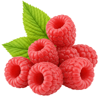 un cerca arriba ver de varios frambuesas apilado juntos con un hoja en un transparente superficie transparente antecedentes png