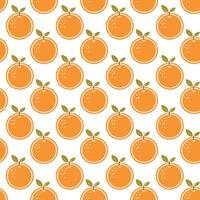 Orange seamless pattern with oranges on white background vector