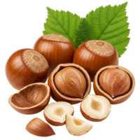 A group of hazelnuts with shells and without shells with green leaves on an isolated background transparent background png