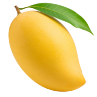 A vibrant yellow mango with a single green leaf attached on a plain studio style presentation view shot transparent background png