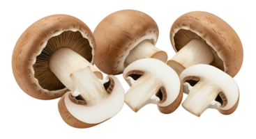 A group of several brown mushrooms including whole and sliced mushrooms on a plain background scene transparent background png