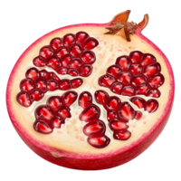 A halved pomegranate showing the seeds inside with a red rind and a light colored interior portion transparent background png