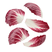 Isolated radicchio leaves showing vibrant red and white colors floating on a plain background space around them transparent background png