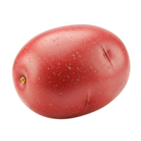 A single red potato with a smooth skin and a small stem against a plain neutral environment view close up transparent background png