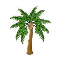 Dates Palm Tree vector