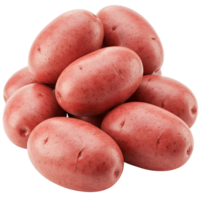 A group of several fresh red potatoes piled together on a plain surface in a close up still life shot transparent background png