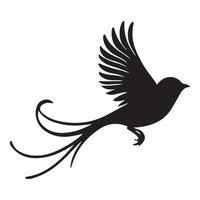 Exotic Bird Illustration Showcasing Flight and Graceful Tail vector