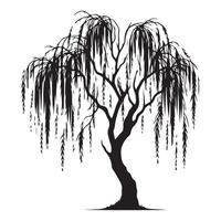Elegant Weeping Willow Tree Silhouette Illustration for Graphics vector