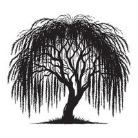 Weeping Willow Tree Silhouette Elegant Nature Illustration vector