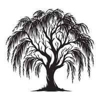 Majestic Weeping Willow Tree Silhouette Illustration with Intricate Branches vector