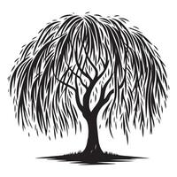 Majestic Weeping Willow Tree Silhouette A Symbol of Resilience and Beauty vector
