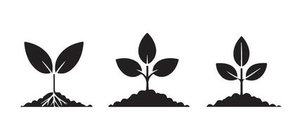 Growing Plant Illustrations Three Seedling with Different Leaf Shapes vector