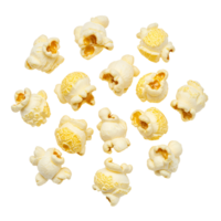 Scattered kernels of popcorn on a plain backdrop creating a simple and inviting composition of snack food transparent background png