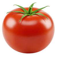 A single ripe red tomato with green stem and leaves isolated on a plain solid color background transparent background png