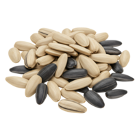 A close up view of a pile of sunflower seeds with a plain and simple solid color isolation transparent background png