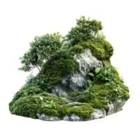 3D Forest Tree Bark With Fungi And Moss On Transparent Background png
