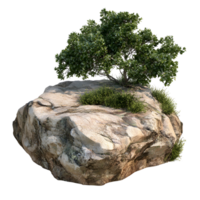 3D Lone Tree on Rocky Surface Isolated on Transparent Background png