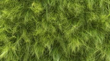 Detailed view of lush green grass texture for natural background photo