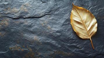 Golden leaf on dark slate stone surface reflecting autumn elegance concept photo