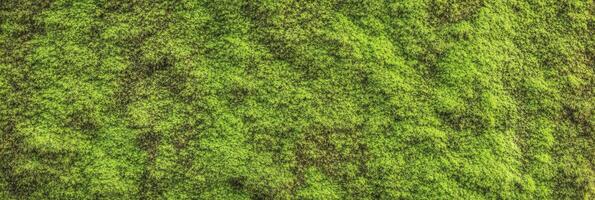 Vibrant green moss texture background for natural environment concepts photo