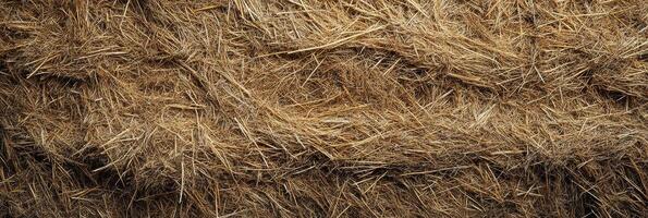 Close-up texture of dried hay bales for rustic and natural background concept photo
