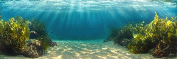 Sunlight illuminating underwater scene with seaweed and sandy ocean floor photo