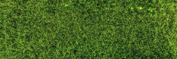 Lush green grass texture perfect for nature and outdoor themes photo