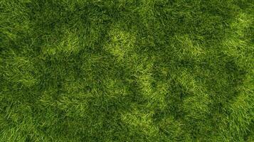 Lush green grass texture - natural lawn surface and fresh plant backdrop photo
