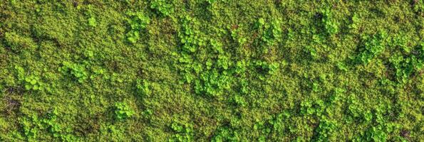 Lush green moss and foliage background for natural texture concept photo