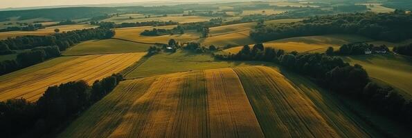 Aerial view of golden farm fields and rolling hills at sunset depicting rural serenity concept photo