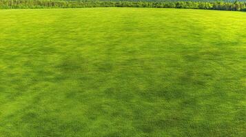 Expansive green grass field under bright sunlight with clear blue sky in background photo