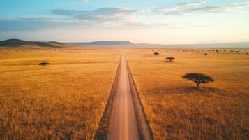 Aerial view of african savannah with endless dirt road through golden grasslands photo