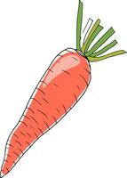 doodle drawing of orange colored carrot isolated on white background vector