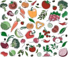 hand drawn doodle style set of colorful vegetables isolated on white background vector
