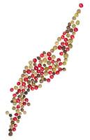 Collection of pink peppercorns arranged in a curved pattern on isolated background. Aromatic berries have a mild photo
