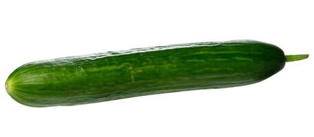 Fresh smooth green cucumber on isolated background photo