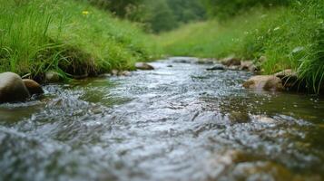 A stream of water is flowing through a grassy area. The water is clear and calm, and the grass is lush and green. The scene is peaceful and serene photo