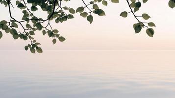 A tree branch is above a body of water. The water is calm and the sky is a light blue photo