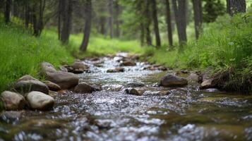 A stream of water flows through a forest with rocks and trees in the background. The water is clear and calm, and the rocks create a natural barrier that separates the water from the surrounding area photo