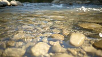 A river with a clear, calm water and a rocky riverbed. The rocks are scattered throughout the river, creating a natural and peaceful setting. The water appears to be still photo
