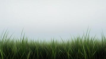 A field of grass with a cloudy sky in the background. The grass is tall and lush, and the sky is overcast. Scene is calm and peaceful, with the grass providing a sense of serenity photo