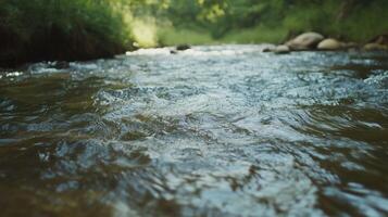 The water is calm and clear, with a few rocks scattered throughout. The scene is peaceful and serene, with the water reflecting the surrounding trees and sky photo