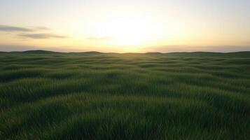 A field of grass with a sun setting in the background. The sky is a mix of blue and orange, creating a warm and peaceful atmosphere photo