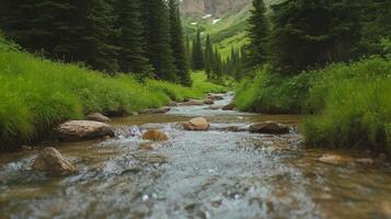 A stream of water flows through a forest with trees on both sides. The water is clear and calm, and the surrounding area is lush and green. Concept of tranquility and natural beauty photo