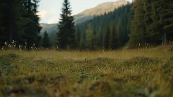 A vast, open field of grass with trees in the background. Concept of tranquility and calmness, as the viewer is surrounded by nature and the beauty of the landscape. The grass is lush and green photo