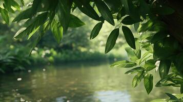 A leafy tree branch is shown in the foreground of a body of water. The water is calm and clear, and the leaves on the tree are green and lush. Concept of tranquility and natural beauty photo