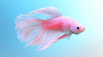 Graceful White and Pink Betta Fish Floating in Water photo