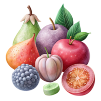 elegant rustic Watercolor Fruits Vegetables Fresh Produce Transparent for Culinary Graphics original png
