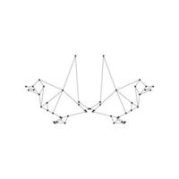 Pair of the Finches, Goldfinch Polygonal Lines, can use for Logo, Pictogram, Bird Figure, Website, Apps, etc. Simple Editable vector