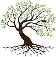 Roots tree Design vector